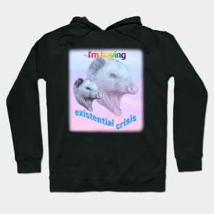 I'm having existential crisis, possum Hoodie